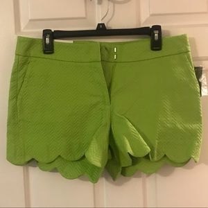 Crown and ivy lime green scallop shorts NWT size 8